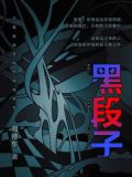 黑段子