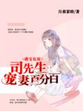 萌宝有双：司先生宠妻百分百