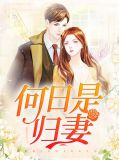 何日是归妻江城
