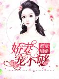 沈南笛厉北寒