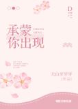 承蒙你出现