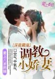 调教绝色小娇妻