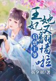 启禀王爷：王妃她又翻墙啦！