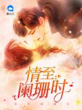 情至阑珊时乔珊珊白森宇