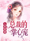 入骨甜婚:总裁的掌心宠赫连烨