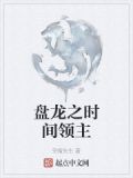 盘龙之时间领主