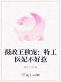 摄政王独宠：医妃不好惹