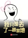 我只是去了一趟禁地