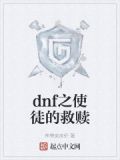 dnf之使徒的救赎