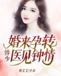 婚来孕转：傅少医见钟情