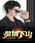 赘婿下山