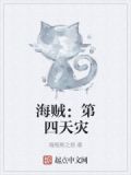 海贼：第四天灾