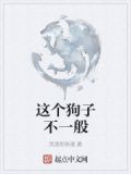 这个狗子不一般