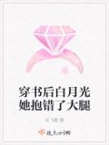穿书后白月光她抱错了大腿