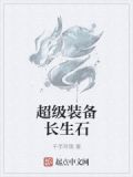 超级装备长生石