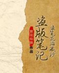 盗版笔记（盗笔花海藏沙）