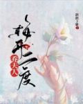 镇长夫人梅开二度小说免费阅读