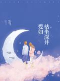 爱如枯坐深井夏寻笙路宴宸