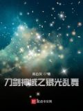 刀剑神域之银光乱舞