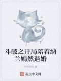 斗破之开局陪着纳兰嫣然退婚