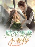 陆少诱妻不要停