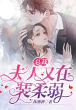 总裁，夫人又在装柔弱