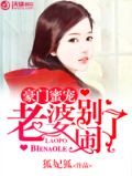 豪门蜜宠：老婆别闹了