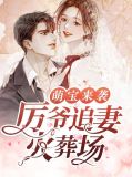 萌宝来袭：厉爷追妻火葬场厉腾