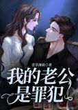我的老公是罪犯1