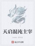 天启混沌主宰