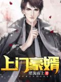 上门豪婿2