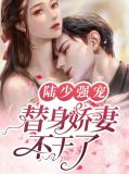 陆少强宠：替身娇妻不干了苏糖糖