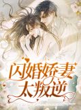 闪婚娇妻太叛逆顾墨璟