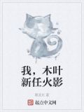 我，木叶新任火影