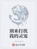 别来打扰我的灵宠