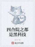 四合院之都是黑科技下载
