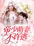 帝少萌妻不许逃贺睿泽