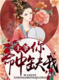 王爷,你命中缺我