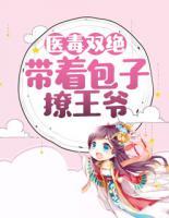 医毒双绝:带着包子撩王爷
