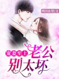 宠妻至上:老公别太坏