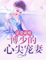 谋爱成婚:傅少的心尖宠妻