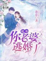凌少,你老婆逃婚了