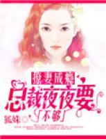 总裁夜夜撩苏格