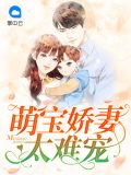 萌宝娇妻太难宠北冥墨