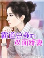 霸道总裁的双面娇妻动漫