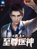 无敌战婿