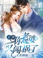 总裁,你老婆又闯祸了
