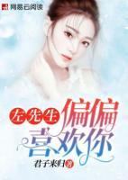 左先生,偏偏喜欢你