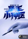 圣手小神医