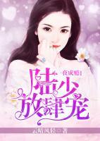 一夜成瘾,晋少